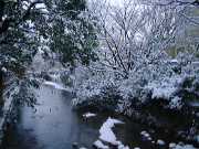 雪の祇園